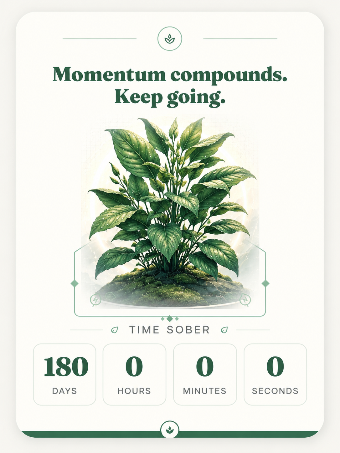 Full, dew-covered plant at one year sober