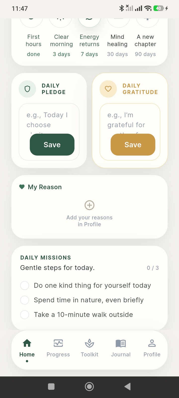 Daily pledge, daily gratitude, my reason, and three gentle daily missions